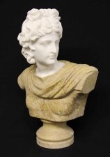 Stunning Marble Bust Apollo Belvedere Marmo di Carrara | Ref. no. 03664 | Regent Antiques