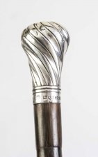 Antique Walking Stick Cane Silver Handle Brigg 1898 | Ref. no. 06598 | Regent Antiques