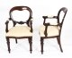 Vintage Set 20 Victorian Revival  Balloon back Dining Chairs 20th C | Ref. no. A2176b | Regent Antiques