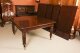 Antique William IV Dining Table C1835 & 12 Vintage Barback Dining Chairs | Ref. no. A3846b | Regent Antiques