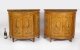 Antique Pair Adam Revival Satin wood Painted Cabinets Commodes C1920 | Ref. no. A3991 | Regent Antiques