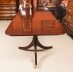 Vintage Twin Pillar Mahogany Dining Table & 10 Chippendale Dining Chairs 20th C | Ref. no. A3992a | Regent Antiques