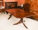 Vintage Twin Pillar Mahogany Dining Table & 10 Chippendale Dining Chairs 20th C | Ref. no. A3992a | Regent Antiques