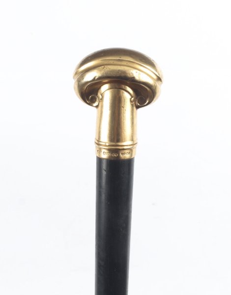 Antique Walking Stick | Ref. no. 09040 | Regent Antiques