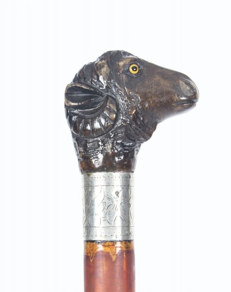 Antique Rams Head Walking Cane Stick Sterling Silver Collar 19th Century | Ref. no. 09056 | Regent Antiques