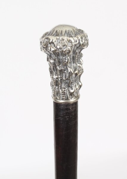 Antique Walking Silve Plated Cane Stick 19th Century  91cm / 36 inches | Ref. no. A3884b | Regent Antiques