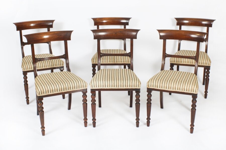 Antique Set of 6 William IV Barback Dining Chairs c1830 19th C | Ref. no. A4163 | Regent Antiques