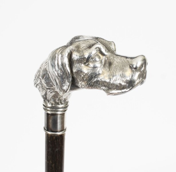 Antique Dogs Head Sliver Handled Walking Stick Cane 19thC 96cm/38 inch | Ref. no. A4205 | Regent Antiques