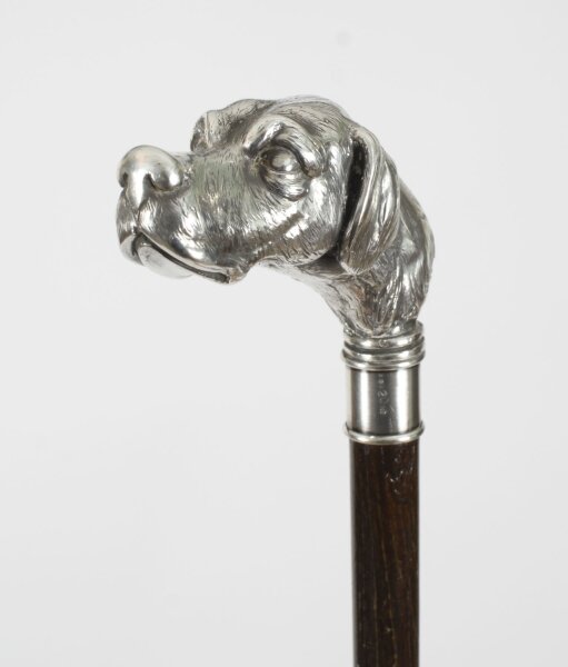 Antique Pointer Dog Silver Handled Walking Stick Cane 19thC 94cm/37 inch | Ref. no. A4205a | Regent Antiques