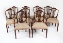 Vintage Set Ten Wheatsheaf Dining Chairs Brights Nettlebed 20th C Vintage Set Ten Wheatsheaf Dining Chairs Brights Nettlebed 20th C